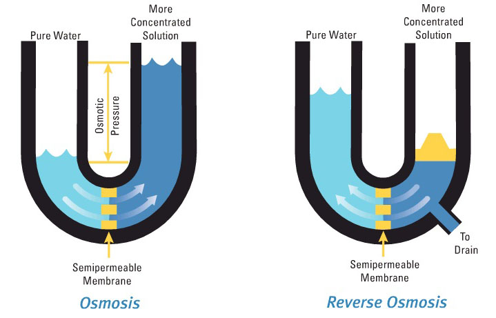 10 Excellent Reverse Osmosis Systems For Home Reviews - Ideas For You (2022)