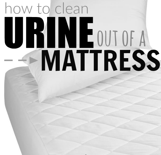 How to Clean Urine From a Mattress - Necessary Tips and Tricks (2022)